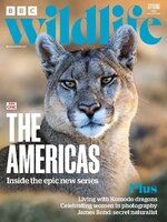 BBC Wildlife Magazine